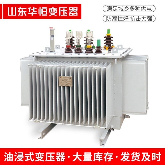 S13-10000/35垫江垫江垫江电力变压器